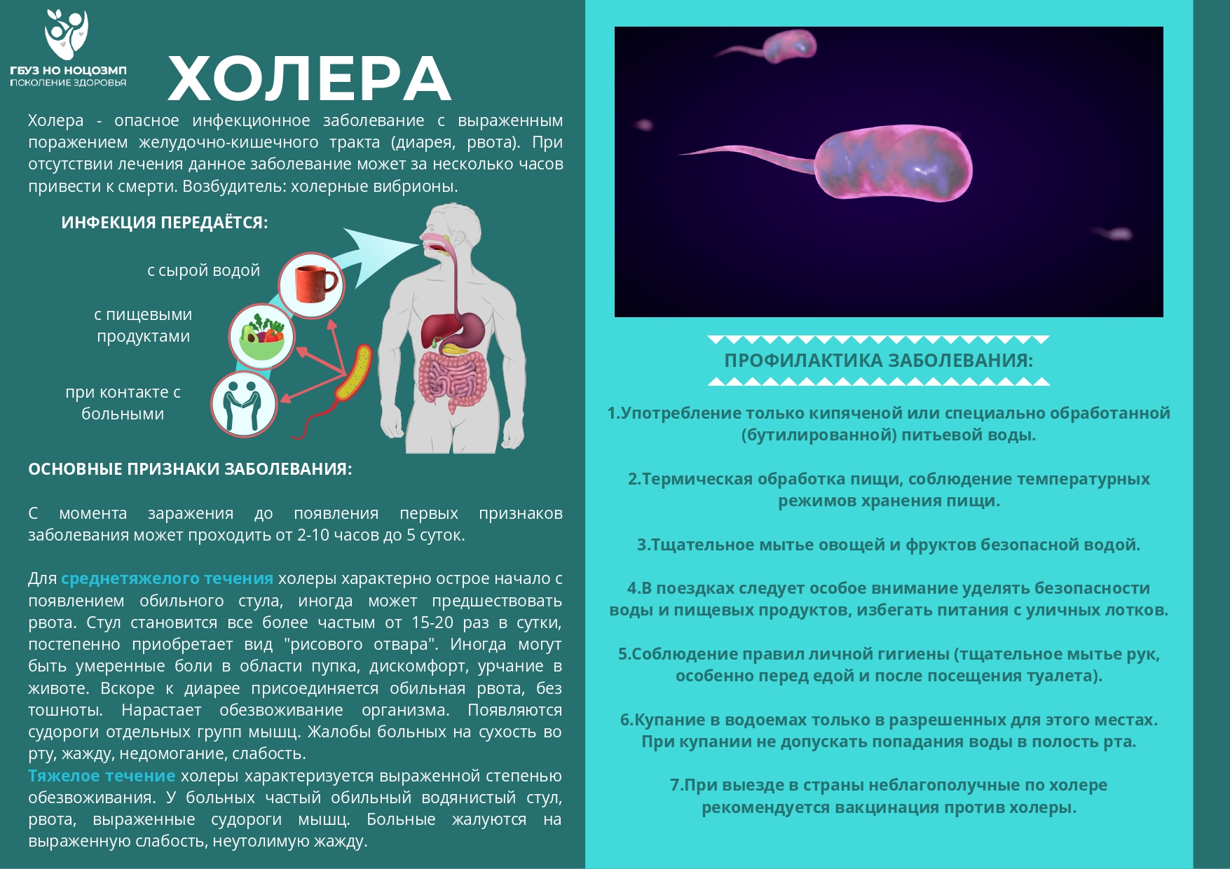 Профилактика холеры картинки